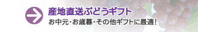 産地直送ぶどうギフト