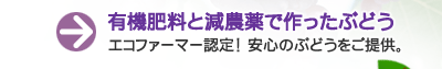 有機肥料と減農薬で作ったぶどう