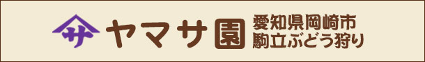 愛知県岡崎市駒立ぶどう狩り
