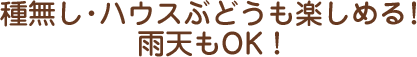 種無し・ハウスぶどうも楽しめる！雨天もOK！