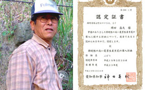 有機肥料･減農薬で作ったぶどう