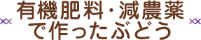 有機肥料･減農薬で作ったぶどう