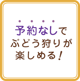 予約なしでぶどう狩りが楽しめる　